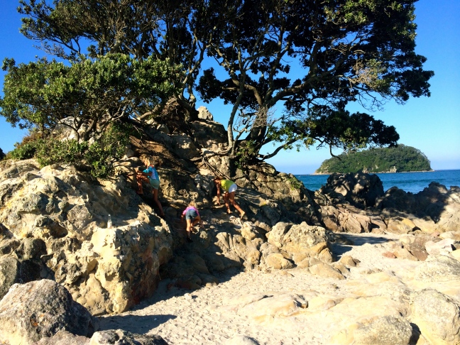 The girls climbed the rocks and trees